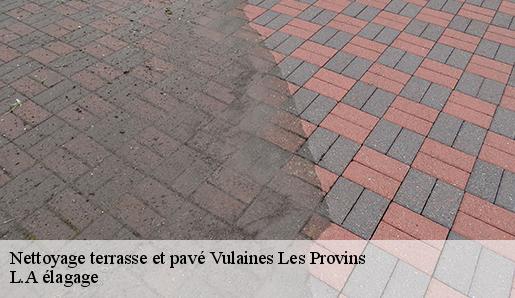 Nettoyage terrasse et pavé vulaines-les-provins-77160 L.A élagage