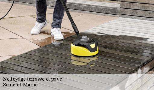 Nettoyage terrasse et pavé