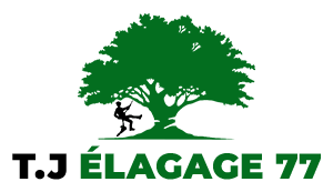 elagage-77-t-j-elagage-77